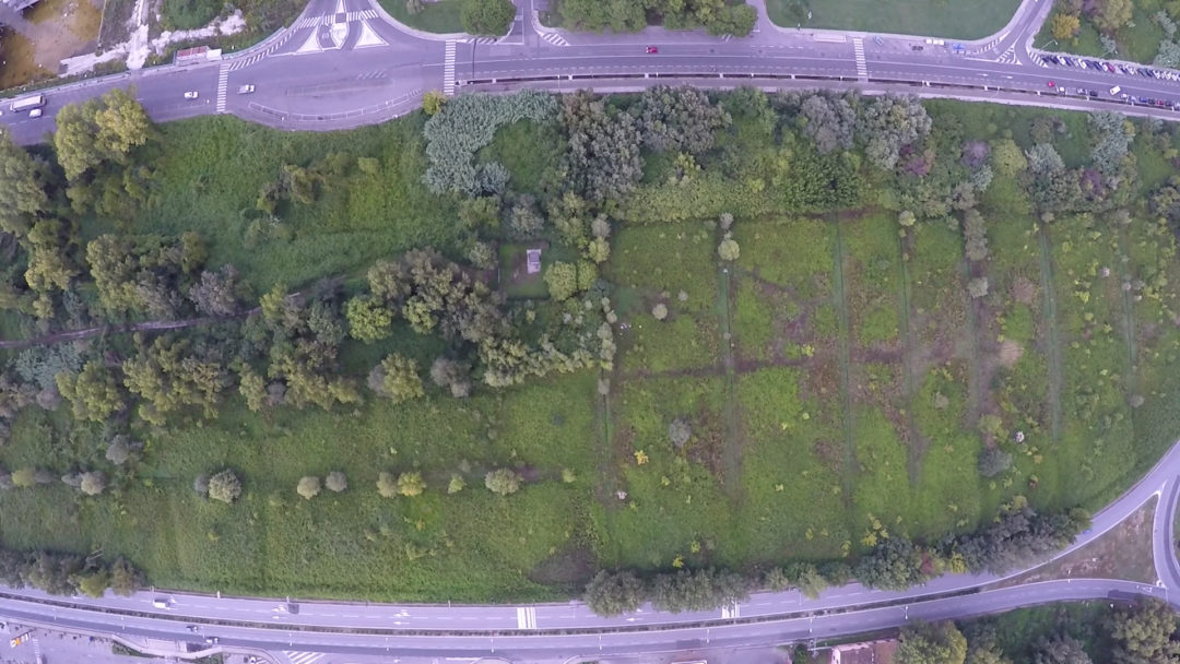 Il Parco Urbano di Cisanello (Pisa)