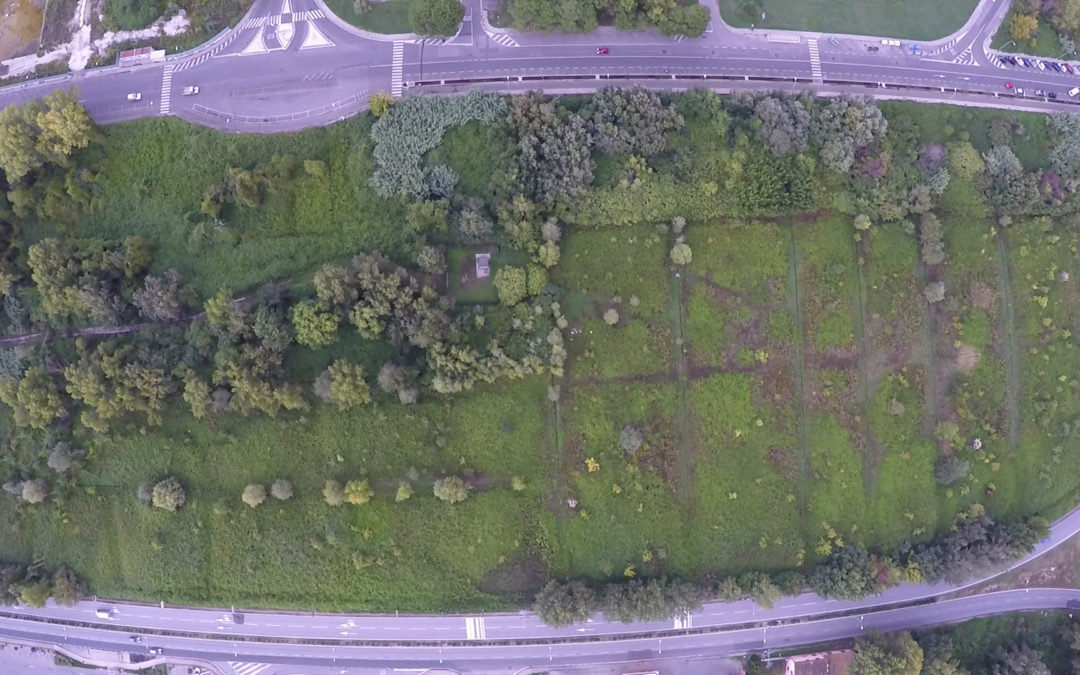 Il Parco Urbano di Cisanello (Pisa)